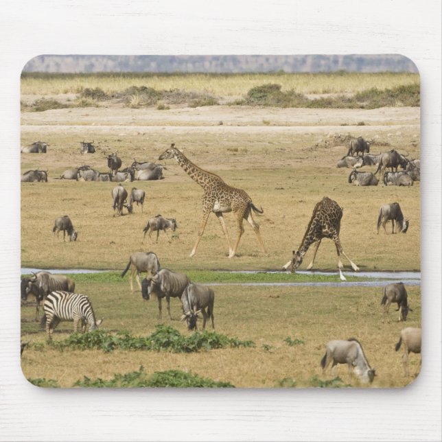 Wildebeests, Zebras and Giraffes Mouse Mat (Front)