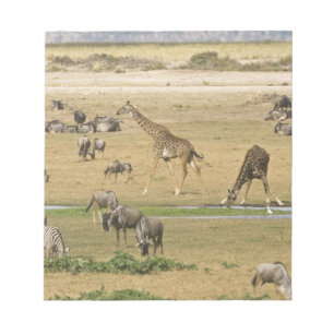 Wildebeests, Zebras and Giraffes Notepad