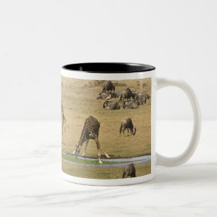Wildebeests, Zebras and Giraffes Two-Tone Coffee Mug
