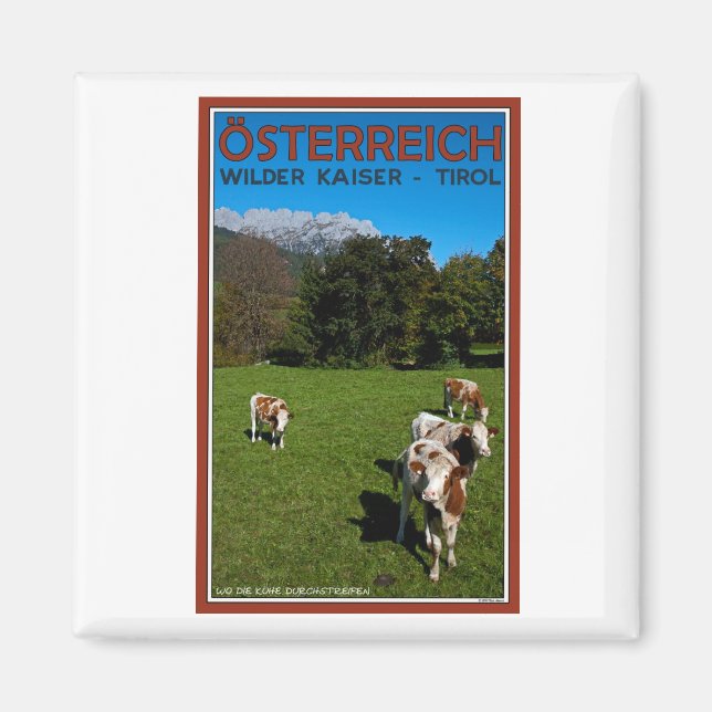 Wilder Kaiser - Cows Magnet (Front)
