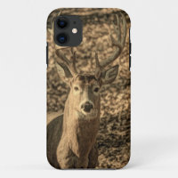 wilderness Camouflage outdoorsman whitetail deer