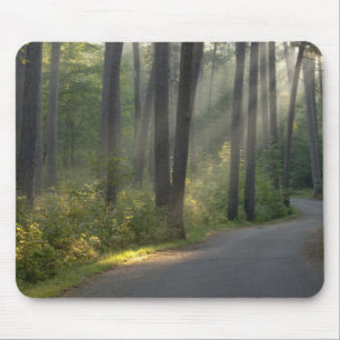 Wilderness Drive, Itasca State Park, Mouse Mat