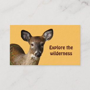 Wilderness Tours Business Card