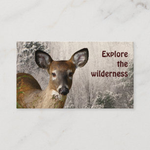Wilderness Tours Business Card