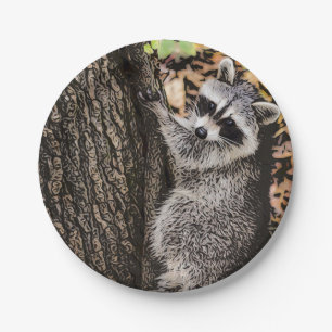 Wilderness Wild Racoon Paper Plate