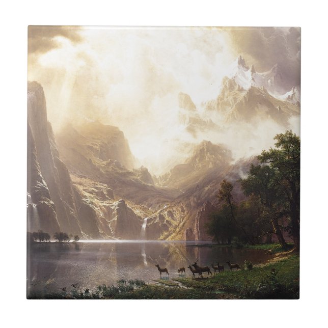 Wilderness & Wildlife Tile (Front)