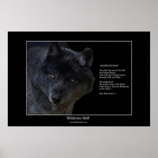 WILDERNESS WOLF Poster w poem (Front)