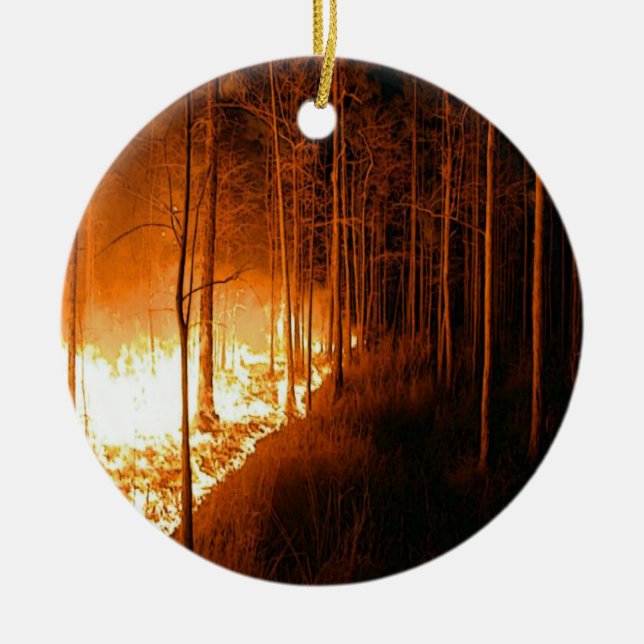 Wildfire Blaze Ceramic Tree Decoration (Front)