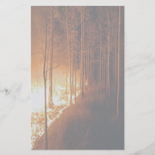 Wildfire Blaze Stationery (Front)