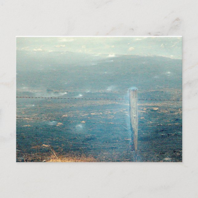 Wildfire Postcard (Front)