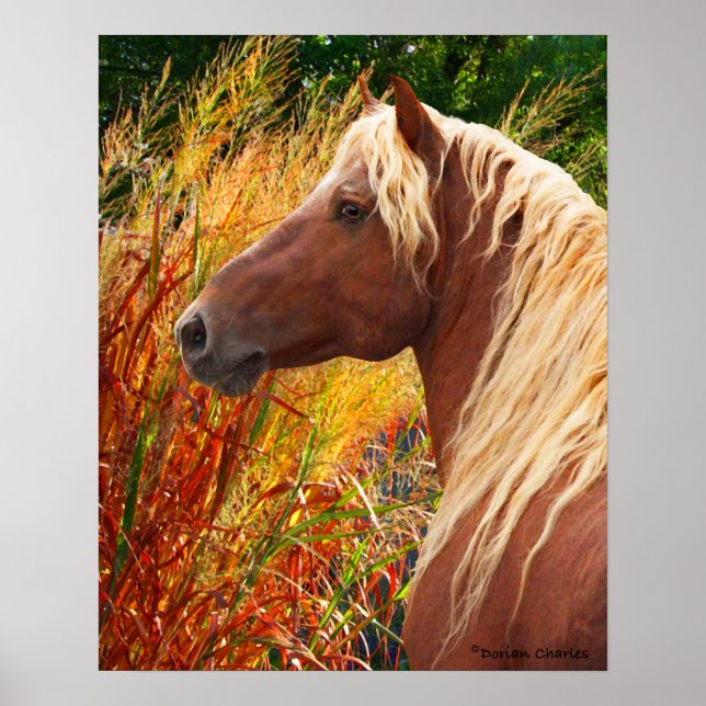 "Wildfire" Poster (Front)