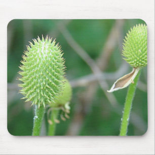Wildflower 2 mouse mat