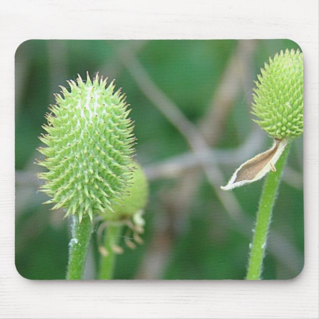 Wildflower 2 mouse mat (Front)