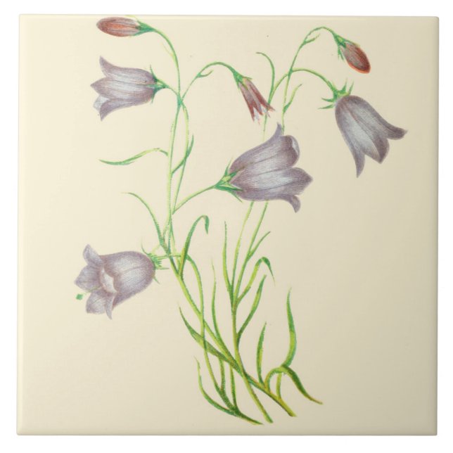 Wildflower Ceramic Kitchen Tile Campanula (Front)