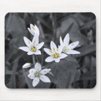 Wildflower Cluster Hint of Colour Macro Photo Mouse Mat
