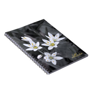 Wildflower Cluster Macro Photo BW/Colour Notebooks