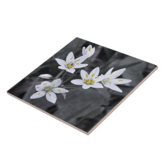 Wildflower Cluster Macro Photo Ceramic Tiles