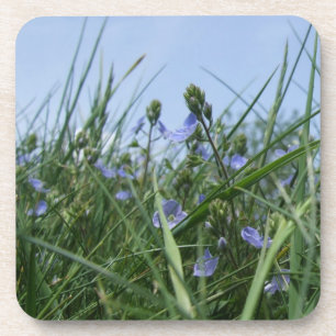 Wildflower Coasters
