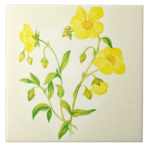 Wildflower Country Kitchen Ceramic Tile Buttercups