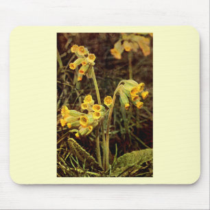 Wildflower: Cowslip Mouse Mat