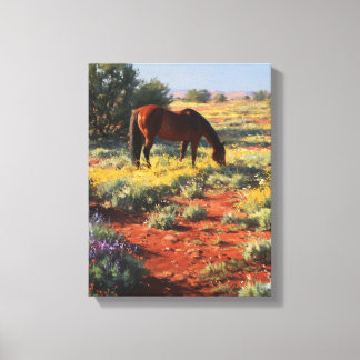 Wildflower Desert Grazing Horse Art Canvas Print