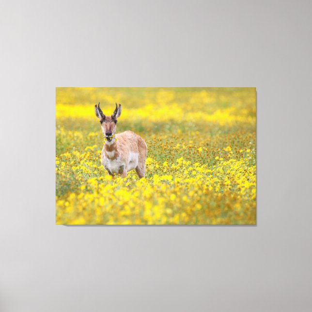 Wildflower Dinner Canvas Print (Front)