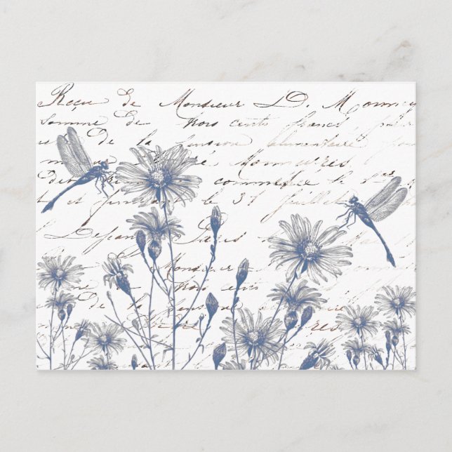 Wildflower Dragonfly French Script Postcard (Front)