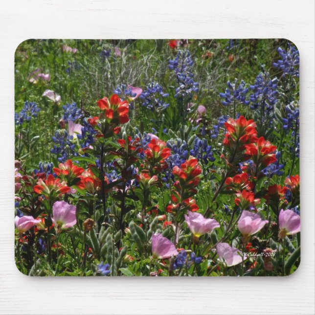 Wildflower Dreams Mouse Mat (Front)