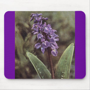 Wildflower: Early Purple Orchids Mouse Mat
