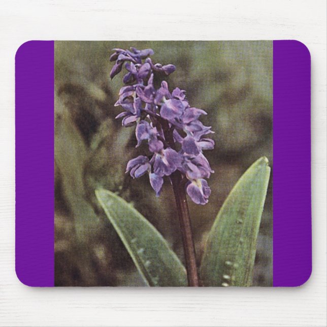 Wildflower: Early Purple Orchids Mouse Mat (Front)