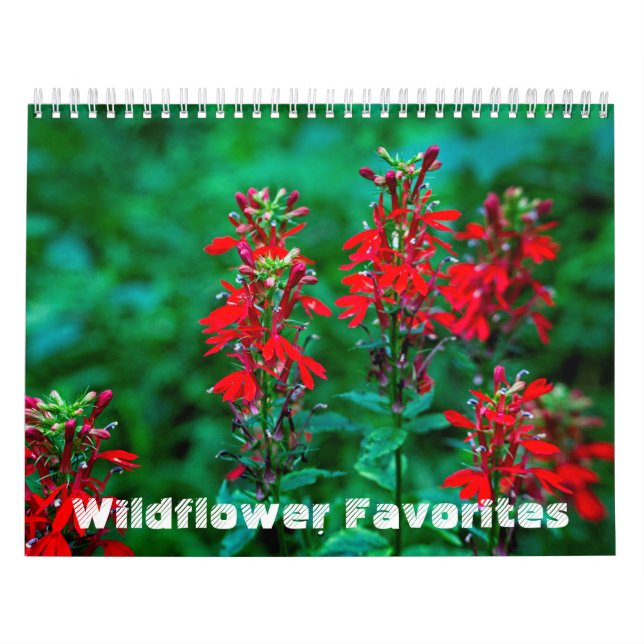 Wildflower Favourites #1 Calendar (Cover)