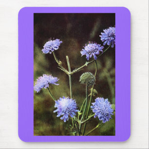 Wildflower: Field Scabious Mouse Mat