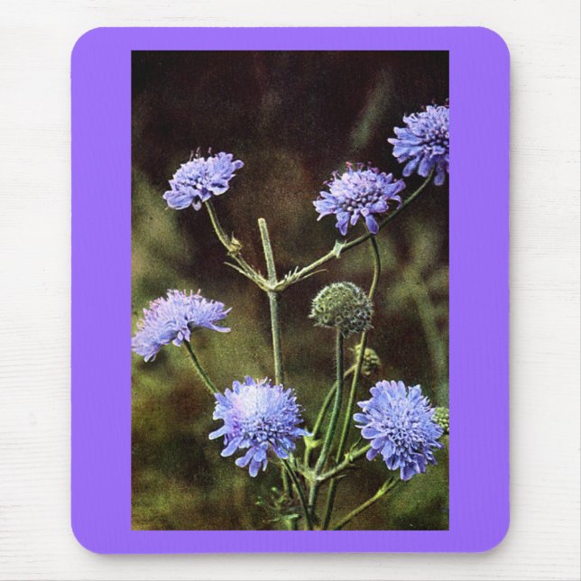 Wildflower: Field Scabious Mouse Mat (Front)