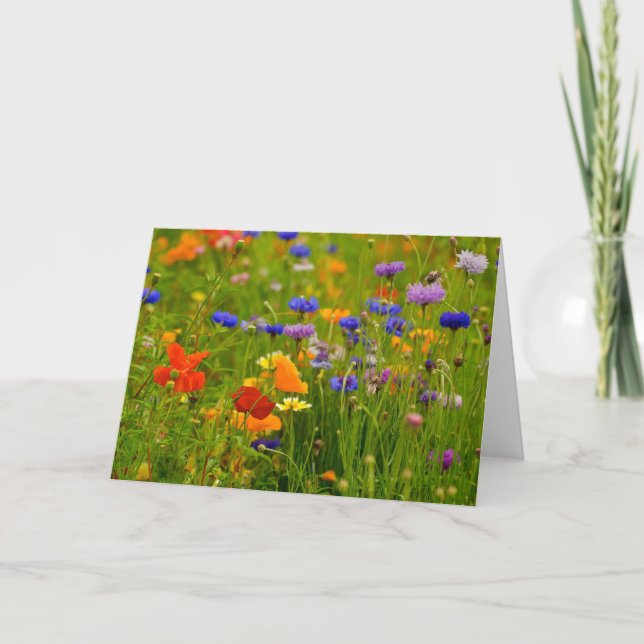 Wildflower Greeting Card (Front)