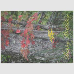 Wildflower Happy Birthday Tissue Paper