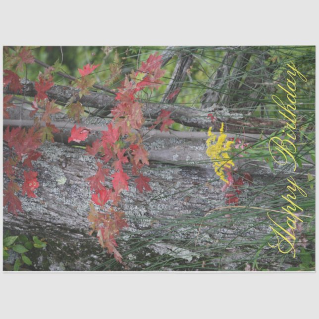 Wildflower Happy Birthday Tissue Paper (Front)