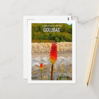 Wildflower Historic Ruins Custom Postcard