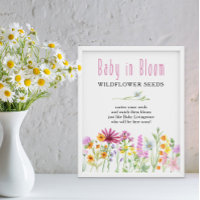 Wildflower Meadow Baby in Bloom Flower Seeds Favou