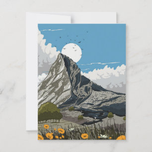 Wildflower Meadow Mountain Postcard