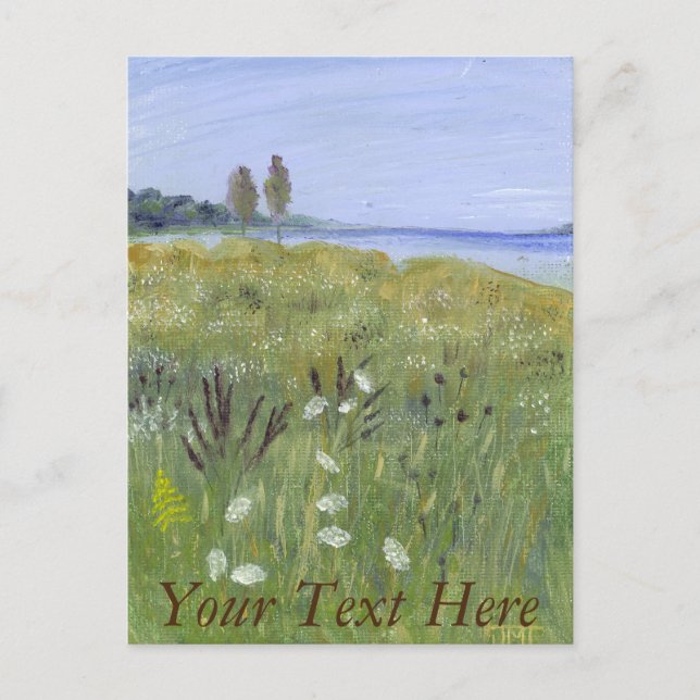 Wildflower Meadow Postcard (Front)