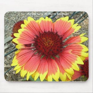 Wildflower Mouse Mat