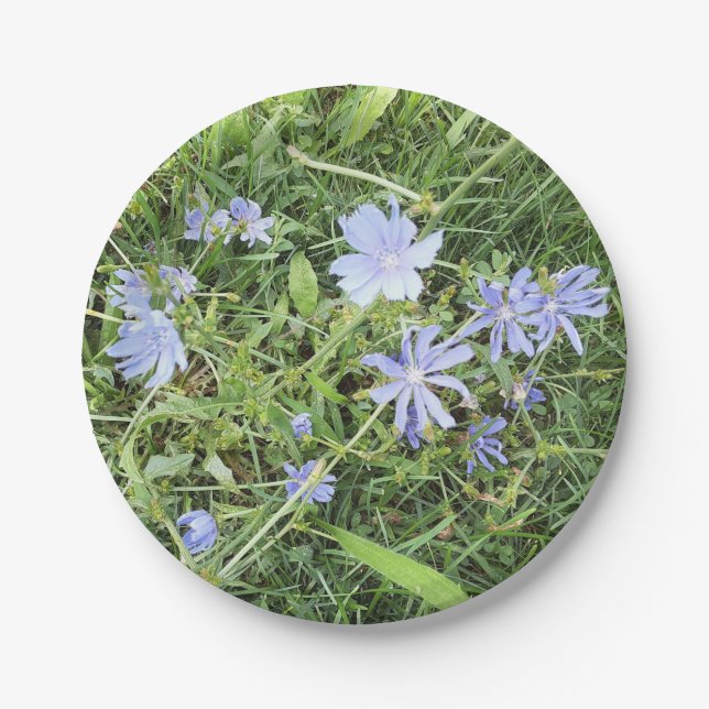 Wildflower Paper Plate (Front)