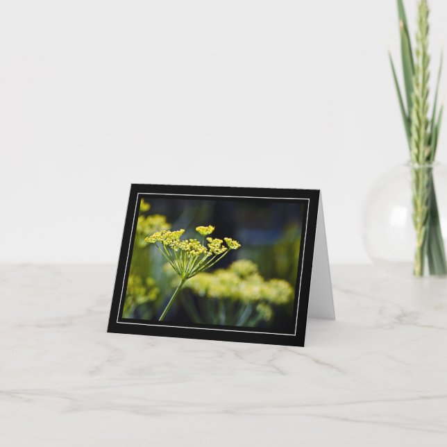 Wildflower Photo Note Card (Front)