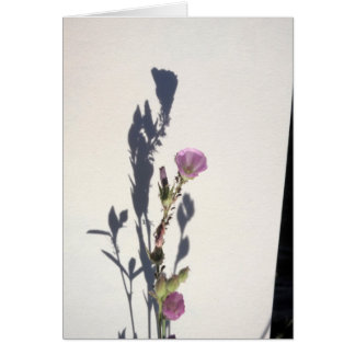 Wildflower Shadow  2014