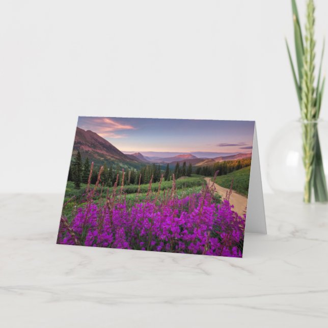 Wildflower Sunrise | Crested Butte, Colorado Card (Front)