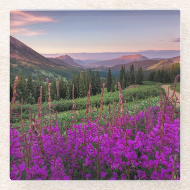 Wildflower Sunrise | Crested Butte, Colorado Glass Coaster (Front)
