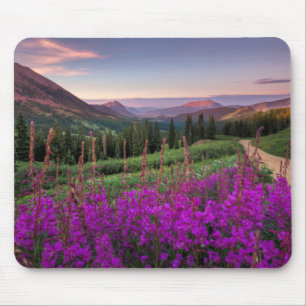Wildflower Sunrise   Crested Butte, Colorado Mouse Mat