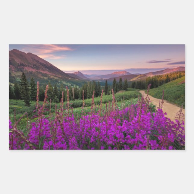 Wildflower Sunrise | Crested Butte, Colorado Rectangular Sticker (Front)