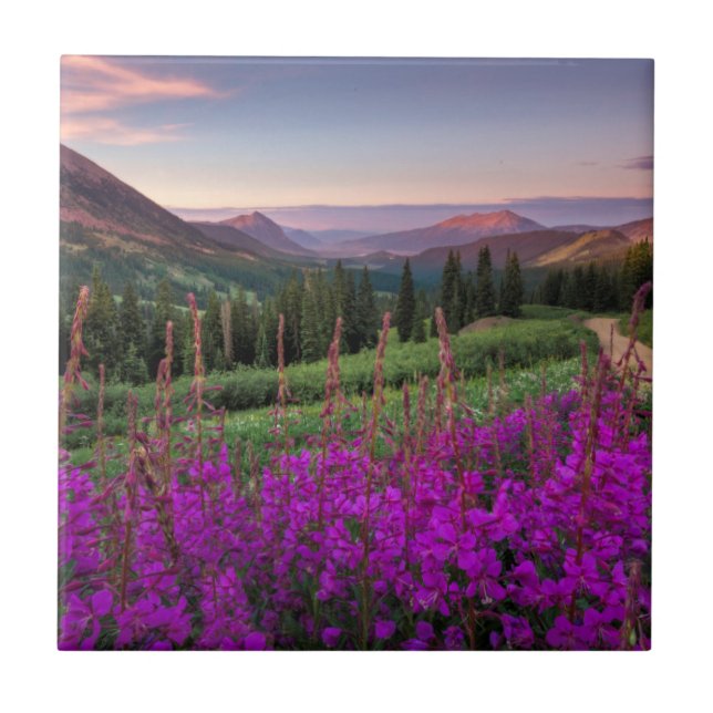 Wildflower Sunrise | Crested Butte, Colorado Tile (Front)