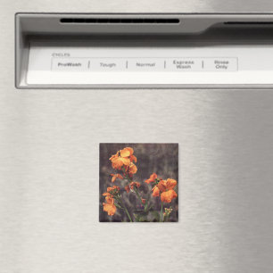 Wildflower: Wallflower Magnet